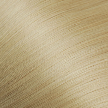 Color #22-Golden Glow
